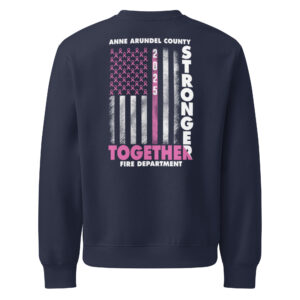 2025 Breast Cancer Oversized heavyweight sweatshirt